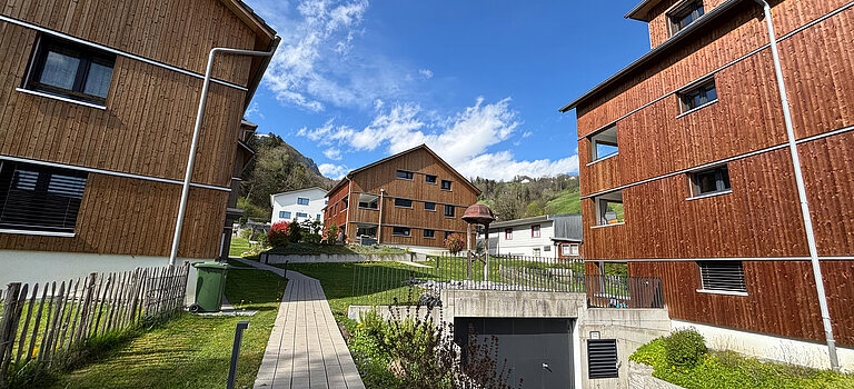 SteinecoPlus Leistungen